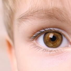 Corps étranger dans lœil - Hôpital de Montréal pour enfants