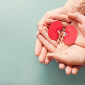 Néphrologie - Hôpital de Montréal pour enfants