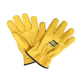 PPE / Safety